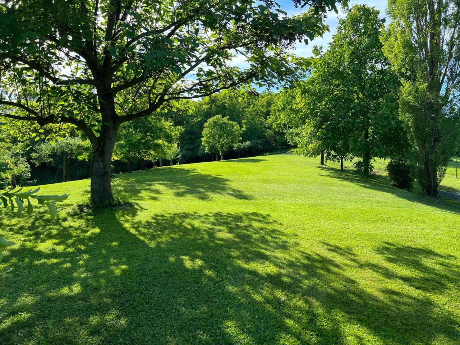 Ferienwohnung Dorner Spielfeld Buitenkant foto