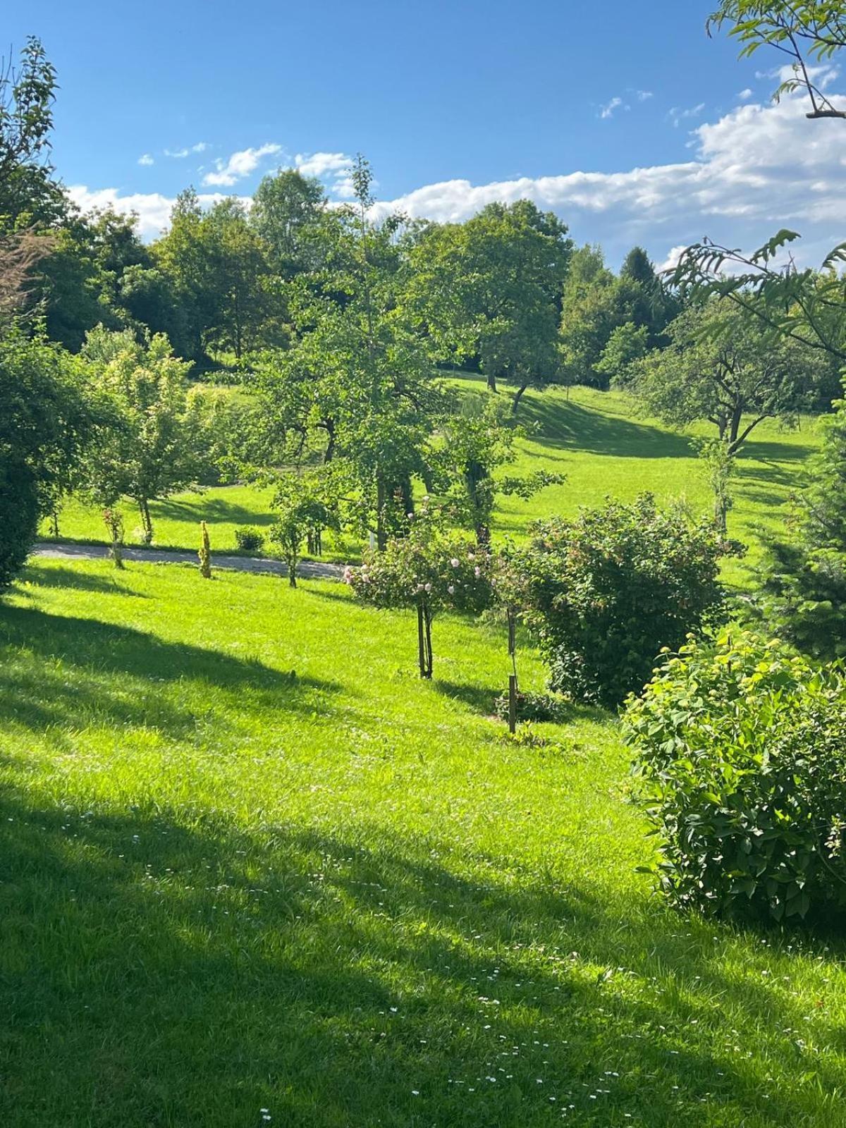 Ferienwohnung Dorner Spielfeld Buitenkant foto